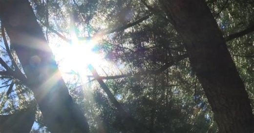 7/9: CBS News 24/7 Episode 1