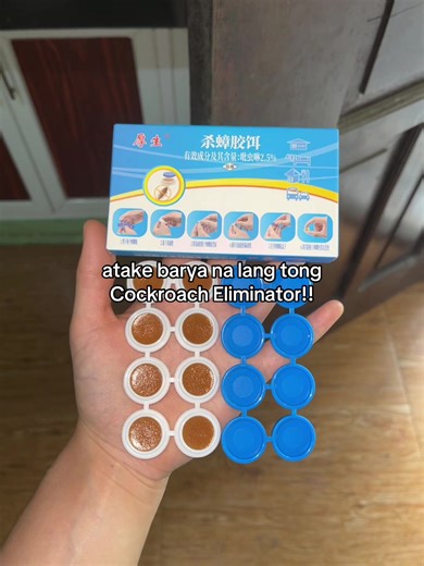Effective Cockroach Eliminator for Your Home