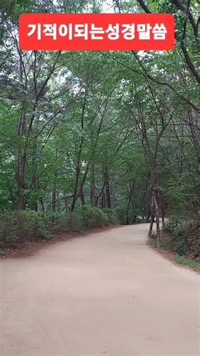 기적이되는 성경말씀 어려운일당할때 #쇼츠 #왕관tv 매일성경말씀 #경배찬양단 #굿티비우먼콰이어 #찬양사역자 #최미영집사