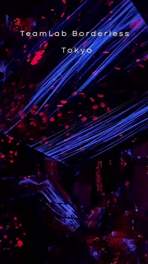 Wander, Explore, and Discover in One Continuous Borderless WorldteamLab Borderless is a world of artworks without boundaries, a museum without a map created by art collective teamLab.#TeamLabBorderless#traveltechexperiences #tokyomustvisits #exploretokyo #digitalworld | traveltech | Facebook