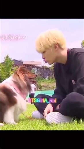 BTS playing with dog 🐶🐕 @BTSGirlA_Rai #army #btsedits #shorts #bts #btsarmy #bts_official_bighit