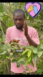 399K views · 11K reactions | How to unblock blocked fallopian tubes #viravideo #fypシ゚viralシ #fallopiantube #trendingpost | Secrets Of Health TV | Facebook