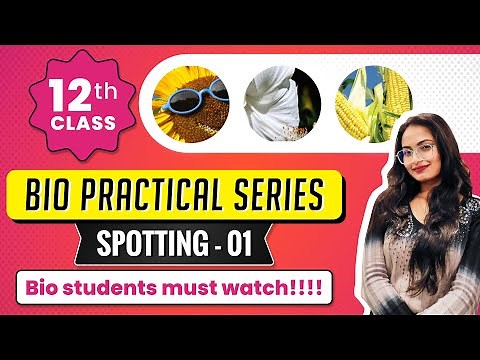 How to do SPOTTING | Biology Practical Class 12| top coaching