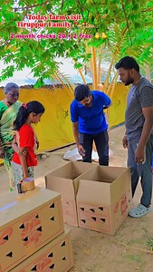 28K views · 548 reactions | 2 month chicks available 9080094664 #instagood #pet #animals #dog #cute #beautiful #animal #photooftheday #captionplus # #agriculture #viralreels #ams | AMS peruvidai farm Salem | Facebook