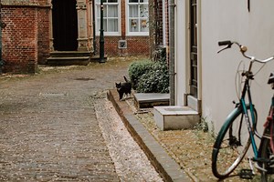 Visit the Hidden Gems of Noord-Holland: Enkhuizen, Beautiful Historic Town