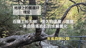 石缝上长大树：恒久的温度、湿度～来自陨落岩石的水解氧化