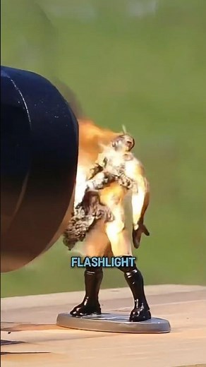 The Most Powerful Flashlight Ever