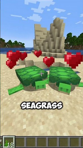 What do turtles eat in Minecraft?