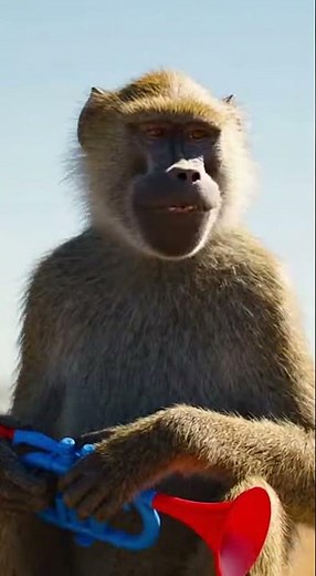 Baboon Pranks Sleeping Lions - The Ultimate Wake Up Call 🎺🤣