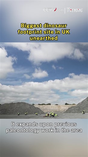 The UK's largest dinosaur trackway site has been discovered in an Oxfordshire quarry, featuring approximately 200 footprints made 166 million years ago. #Trending For more: https://english.cctv.com/ | CCTV