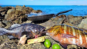 330K views · 6.7K reactions | Catching Abalone, Lobsters and Exotic Fish!  #fishing #seafood | Fisherman's Life | Facebook
