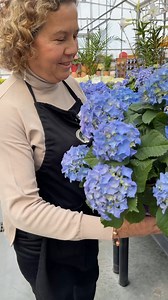 359K views · 20K reactions | Maria takes us on a tour of the Spring Easter flowers! | Gertens | Facebook