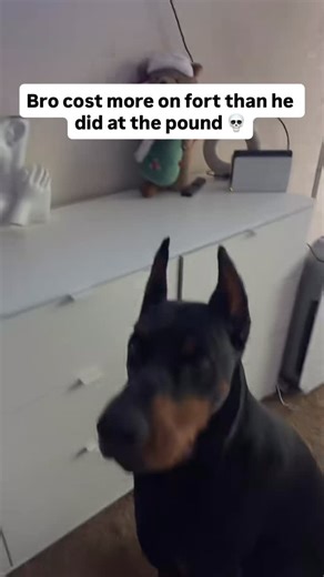 Fortnite News on Instagram: "#Fortnite inflation is real 💀 Via ragerthedobie_/TikTok #Fortnite"