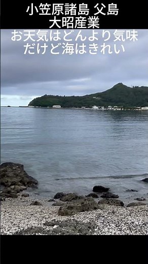 小笠原諸島 父島 土木 インフラ整備 現場作業員 寮完備 リゾートで仕事 #shorts