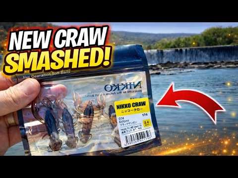 Smallmouth Bass Can't Resist the NEW Nikko 2.4" Craw! (Spring River Fishing)