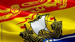 Flag of New Brunswick video waving in wind. Realistic Province Flag background. Canadian New Brunswick Flag Looping closeup 1080p Full HD 1920X1080 footage. New Brunswick Canada Provinces Province fla
