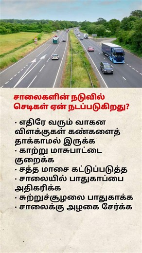 சாலைகளின் நடுவில் செடிகள் ஏன் நடப்படுகிறது? 🤔 | இதன் உண்மையான காரணங்கள் தெரியுமா? 🌱🚦