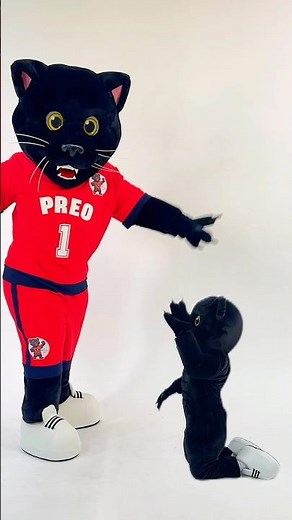 Panther Sports Mascots 🐾⚽ | Team Spirit & Fan Energy