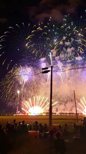 Omagari Fireworks Festival 2026 🎆 Japan National Fireworks Competition Akita #japantravel