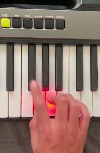Entertainer piano tutorial