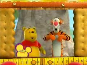 Playhouse Disney France Mes amis Tigrou et Winnie Promo (2007)