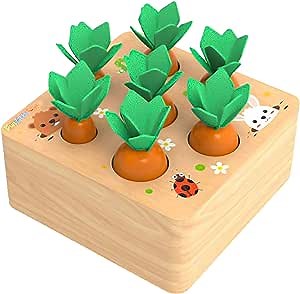 FUN LITTLE TOYS Educational Wooden Toys for Toddlers, Carrots Harvest Shape Size Sorting Game, Developmental Toys for 1 2 3 Year Old Boys and Girls Preschool Learning Gifts