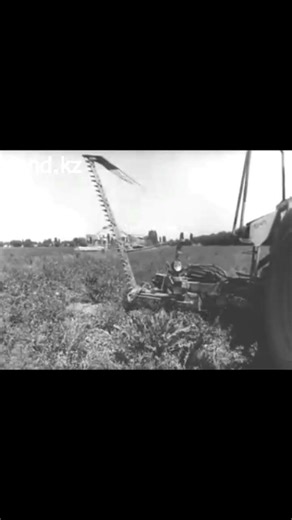 Косилка СКП-10 может агрегатироваться с граблями ГП-10... 1984 год.