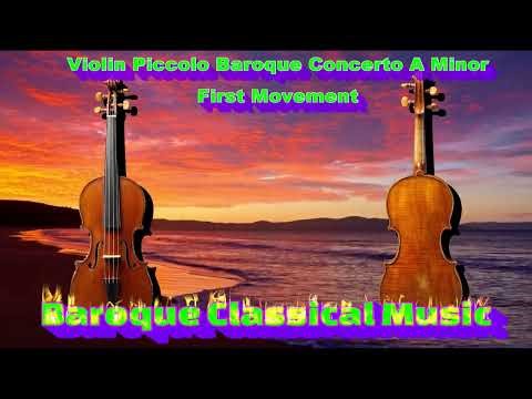 Violin Piccolo Baroque Concerto A Minor First Movement #baroquemusic