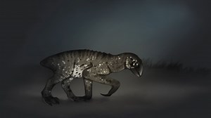 The alien world where birds became everything