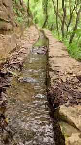 Hiking through Dareb El Moujawkal, Mount Lebanon By @abirsaab #Nature #Hiking #Exploring #Travel #Destination #MyLebanon #AmazingLebanon #LiveLoveLebanon #DiscoverLebanon #ExploreLebanon #ProudLebanese #LebaneseAmericans #Lebanon #Lebanese #AmericansLebanese | Lebanese Americans