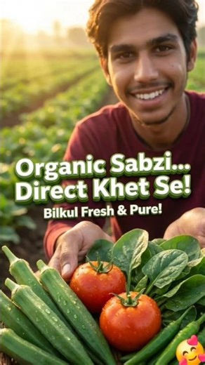Ultimate Guide to Organic Vegetable Farming