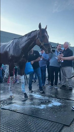 The morning after with MYSTIK DAN!