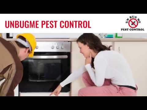 3 Steps To Prepare for a Cockroach Treatment