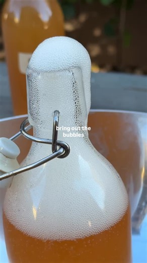 Cam Perdido on Instagram: "THIS MONTH’S SEASONAL SODA: plum spice!! If you’ve never made your own soda before, you can start with a ginger bug ✨ Just like a sourdough starter, you feed it, it bubbles, and you add it to other recipes! HERE’S HOW TO MAKE GINGER BUG ⬇️ Day 1: - chop or grate 2–3 tbsp of fresh ginger root - add it to a jar - add equal parts sugar (2–3 tbsp) - pour in 2 cups of filtered water. stir - cover loosely with a cloth or lid - leave at room temp on your kitchen counter Day 2