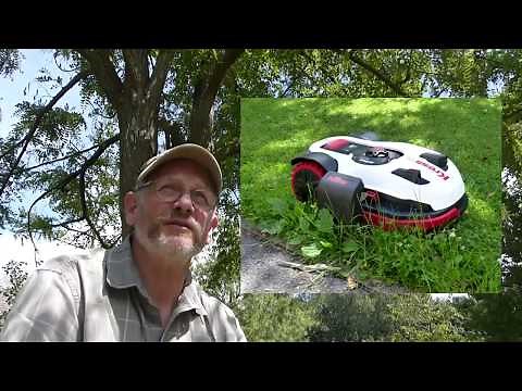 ROBOTS DE TONTE 2019