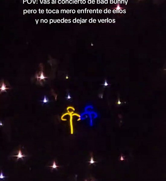 Y solo podía preguntarme...¿Dónde están sus patitas? 😱😱 #badbunnyconcert #cdmx #dtmf #debitirarmasfotos #estadiognp