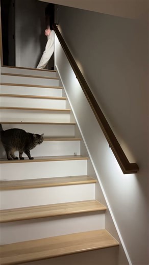 Wireless Motion Sensor LED Lights for Kitchen & Closets #ad