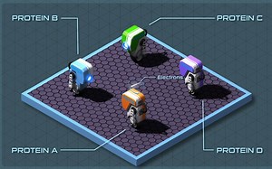 【TED科普】生命的操作系统（中英字幕）