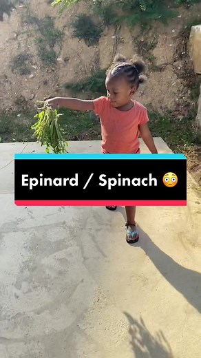 Funniest Chicken Comedy Video 😂 | Matifa Family