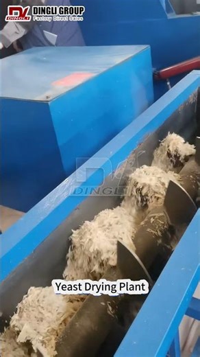 Dingli Yeast Drying Production Line