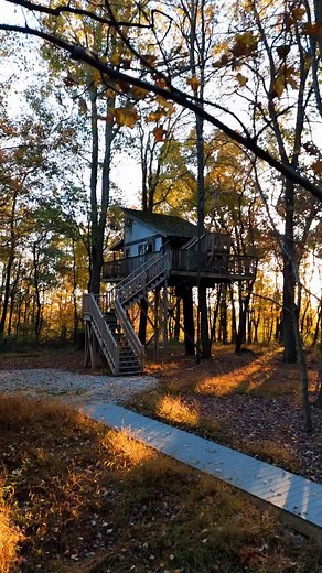 Skip the boring hotels and wake up to your private treehouse😍 🏷️ #themohicanstreehouseresort #ohio #treehouse #summervacation #vacation #roadtrip #travel #weddingvenue #treehousedreams #blackfriday | The Mohicans Treehouse Resort and Wedding Venue