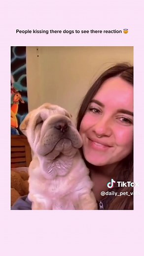 Kiss Your Dog And See Their Adorable Reaction 😇