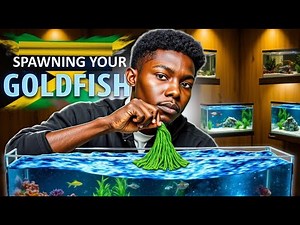 DIY SPAWNING MOP FOR KOI AND GOLDFISH