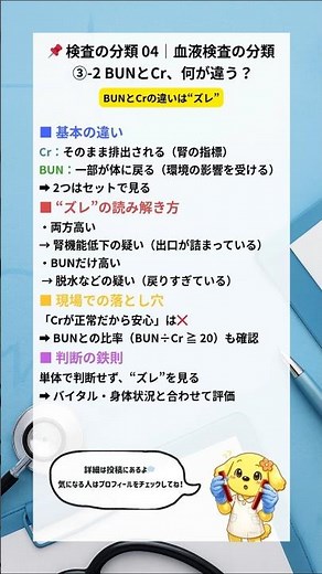 【一覧】検査の分類 04｜血液検査の分類 ③-2\rBUNとCr、何が違う？\r#看護師 #看護学生 #ナース #腎機能 #shorts