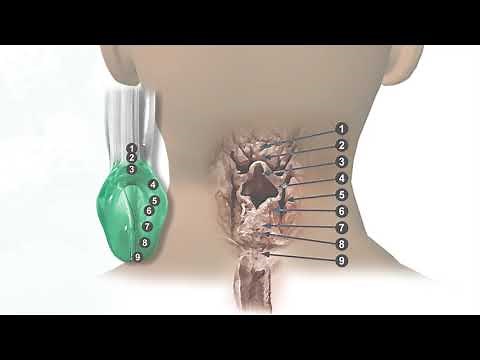i-gel O2® Resus Pack from Intersurgical: Four things in one pack.