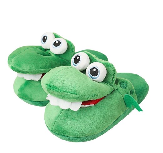 cartoon slippers