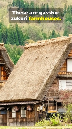 The village in Japan where time stopped 🤯🇯🇵 #japan #travel #shorts