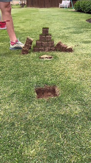 Back yard rennovation ideas #lawn