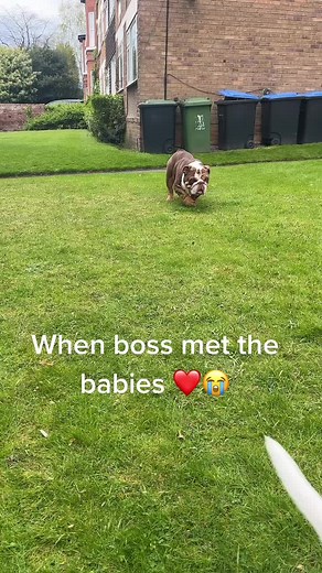 Hezron Stephenson on TikTok