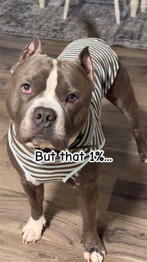 #Alwaysintrouble #kaneBlue